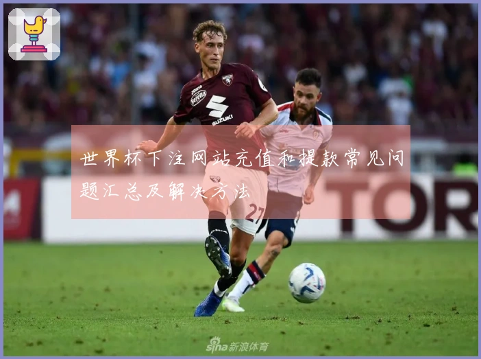 世界杯下注网站充值和提款常见问题汇总及解决方法