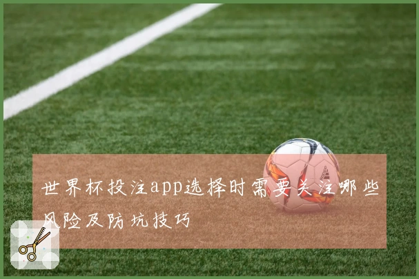 世界杯投注app选择时需要关注哪些风险及防坑技巧