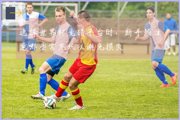选择世界杯竞猜平台时，新手须注意哪些常见坑以避免损失