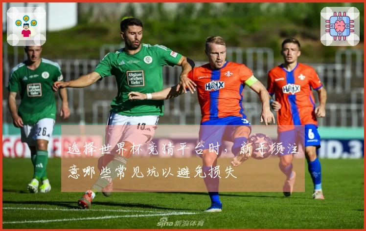 选择世界杯竞猜平台时，新手须注意哪些常见坑以避免损失
