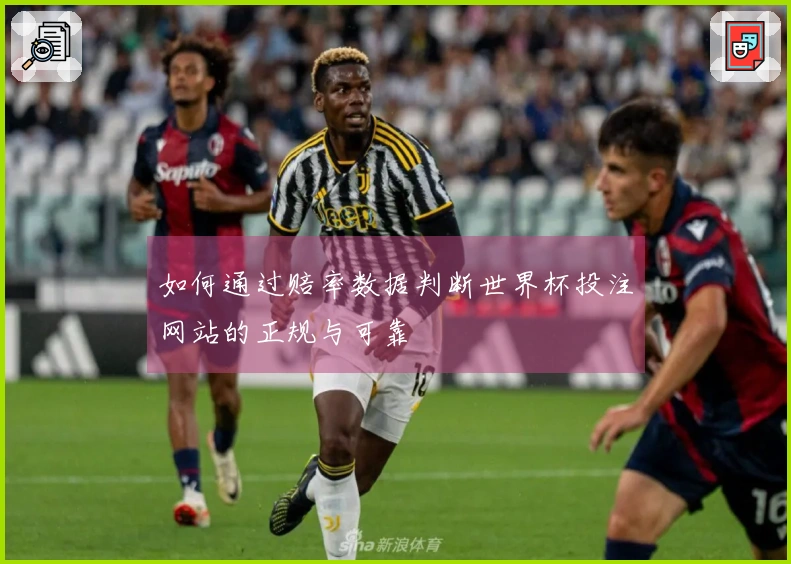 如何通过赔率数据判断世界杯投注网站的正规与可靠