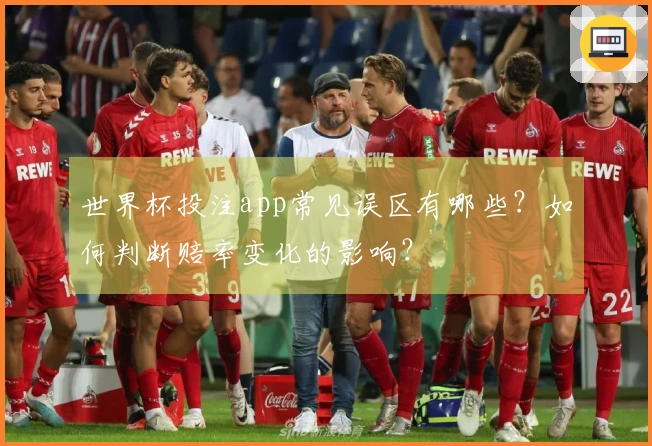 世界杯投注app常见误区有哪些？如何判断赔率变化的影响？